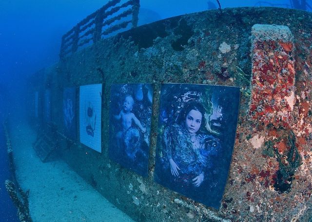 Фотограф з Австрії проводить виставки своїх робіт під водою: ефектні фото - фото 351894