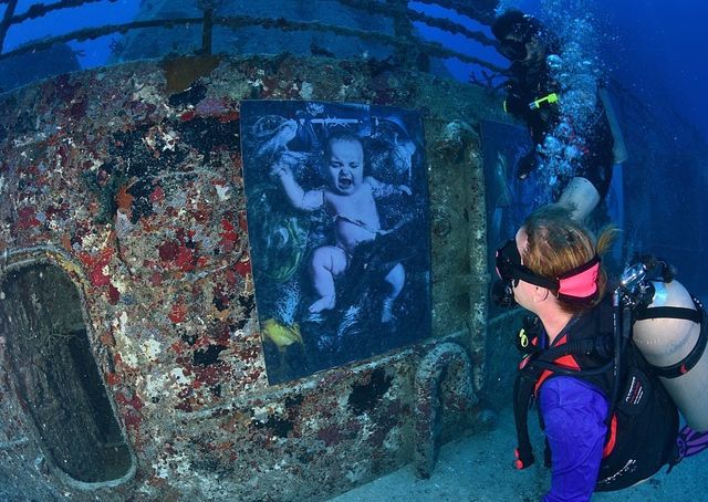 Фотограф з Австрії проводить виставки своїх робіт під водою: ефектні фото - фото 351897