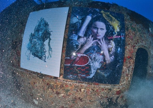 Фотограф з Австрії проводить виставки своїх робіт під водою: ефектні фото - фото 351898