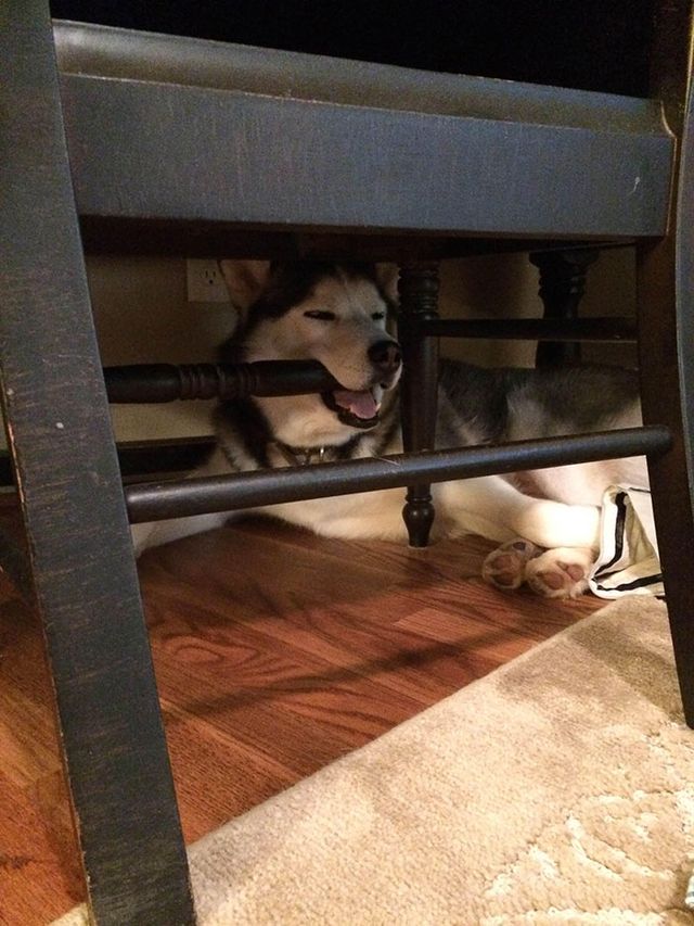 GeorgiaLAX - фото 352038