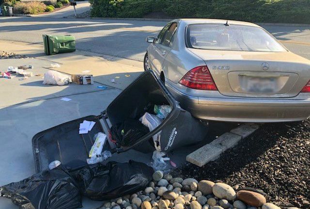 Собака, який викрав Mercedes-Benz, став зіркою мережі: фото - фото 352155