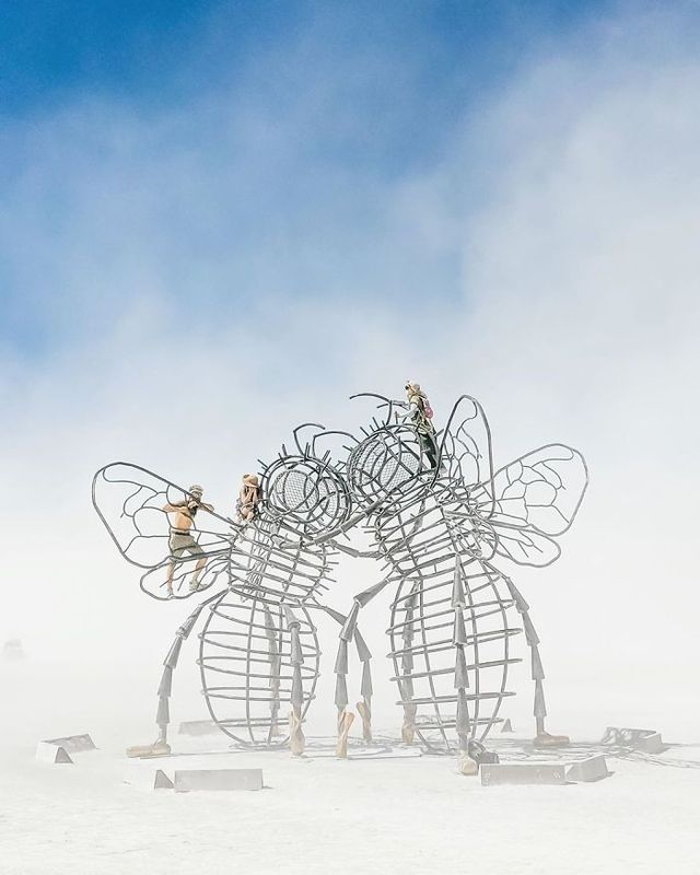 humminglion - фото 352417