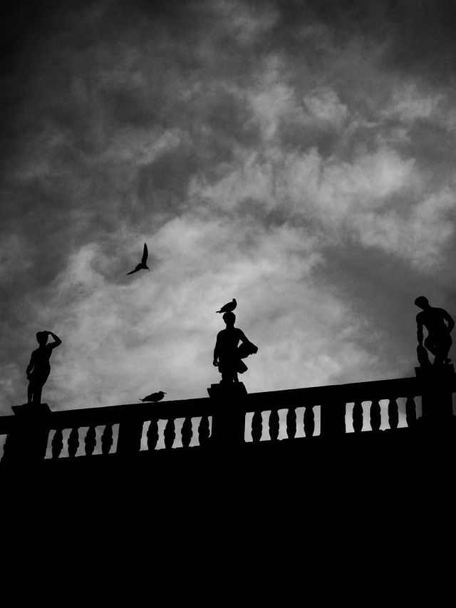 Прогулянка Венецією у чорно-білих фото, від яких перехоплює подих - фото 352465