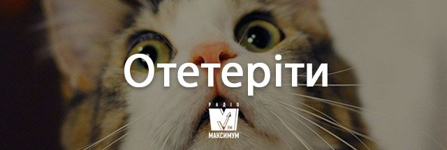 Говори українською красиво! 10 колоритних слів, які збагатять твою мову - фото 352524