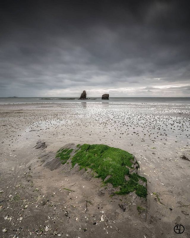 Мінімалістичні краєвиди Франції, які приковують погляд - фото 352589