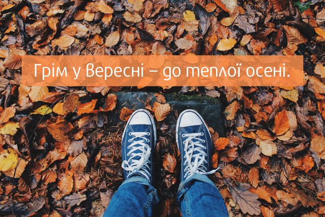 Народні прикмети про осінь: яку погоду віщують прикмети - фото 352977