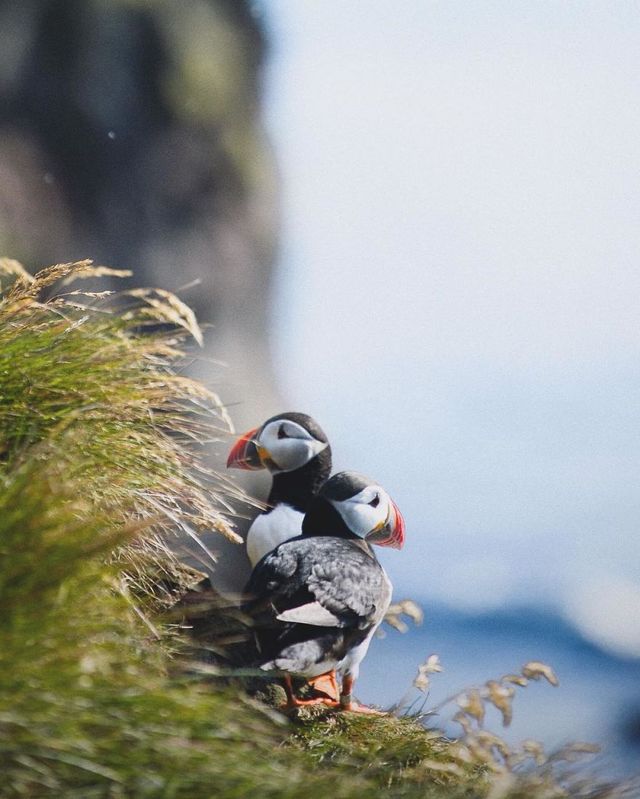 Неймовірні фото Ісландії, які надихають на мандри - фото 353507