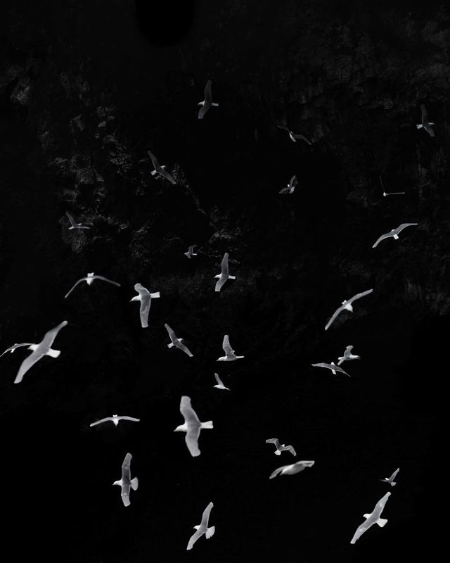 Неймовірні фото Ісландії, які надихають на мандри - фото 353512