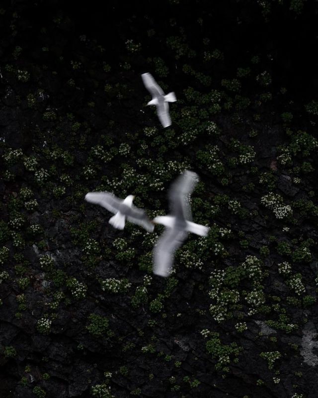 Неймовірні фото Ісландії, які надихають на мандри - фото 353519