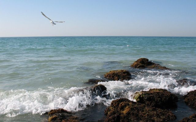 Три найтепліші моря у світі - фото 353799