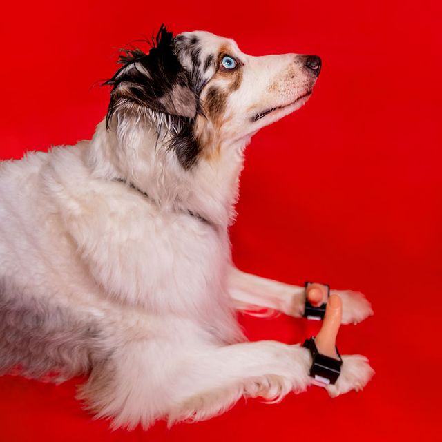 Дивні винаходи для полегшення життя, які нікому не потрібні: фото - фото 353907