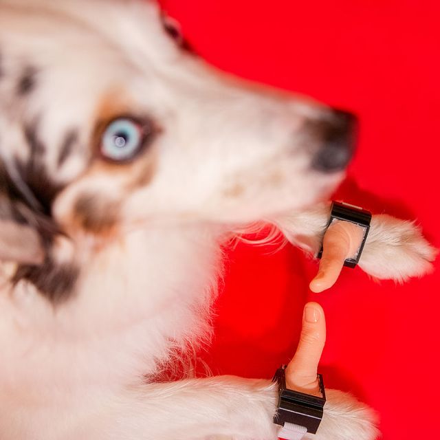 Дивні винаходи для полегшення життя, які нікому не потрібні: фото - фото 353915