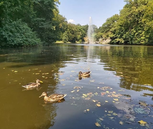 Куди поїхати восени в Україні: ТОП 7 маршрутів для осіннього відпочинку - фото 353973