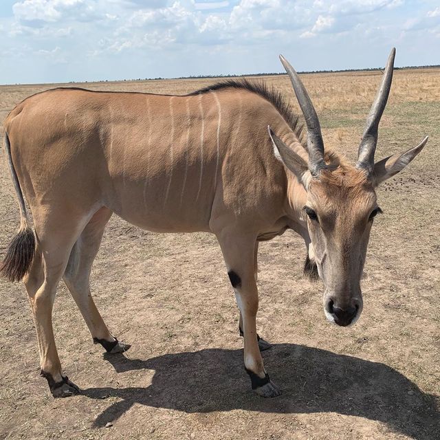 Куди поїхати восени в Україні: ТОП 7 маршрутів для осіннього відпочинку - фото 353977