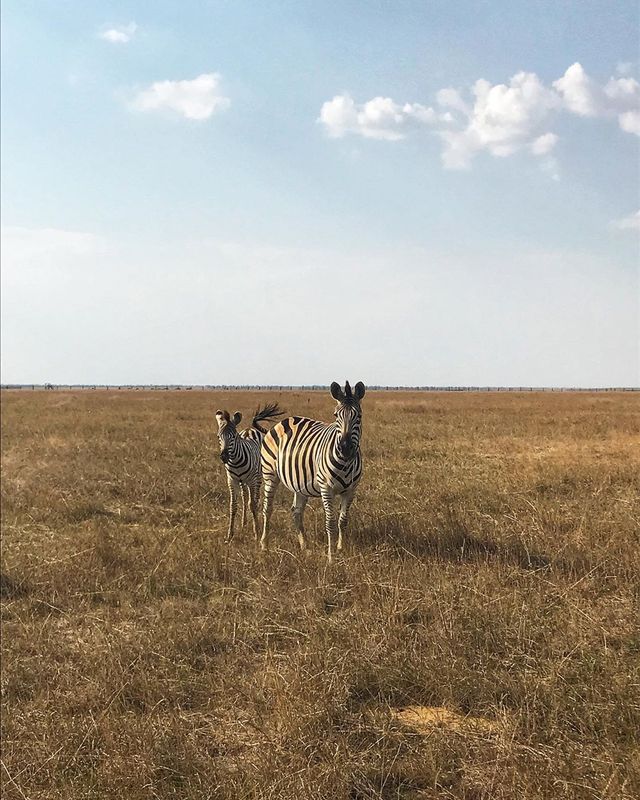 Куди поїхати восени в Україні: ТОП 7 маршрутів для осіннього відпочинку - фото 353983