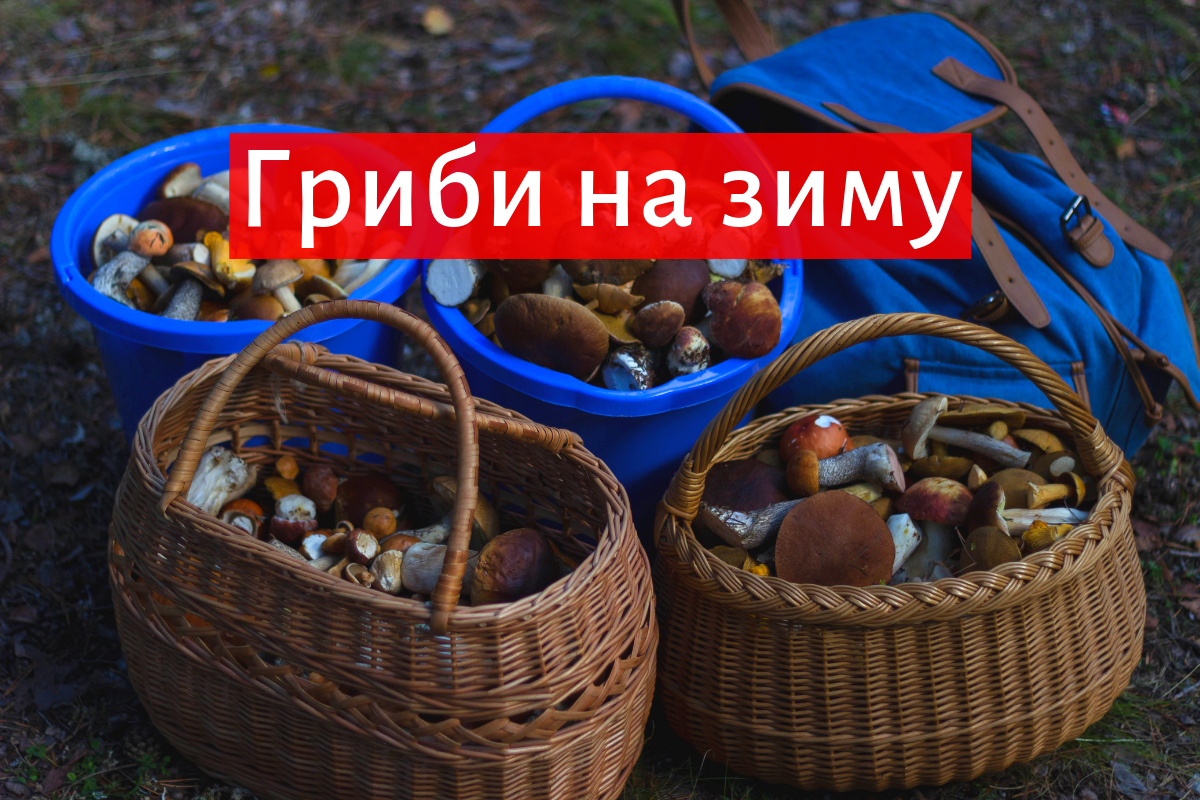 як приготувати гриби на зиму - фото 1