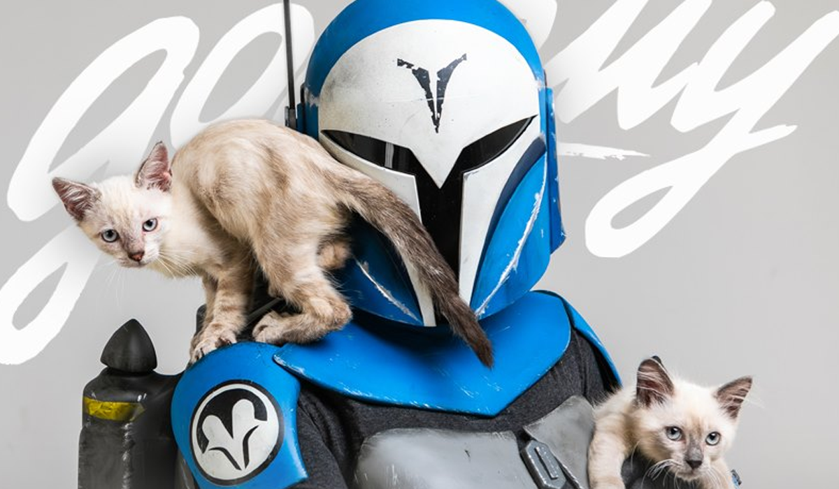 Comic Con Ukraine 2019 доведе, що допомагати іншим – весело: 5 соціальних ініціатив фесту