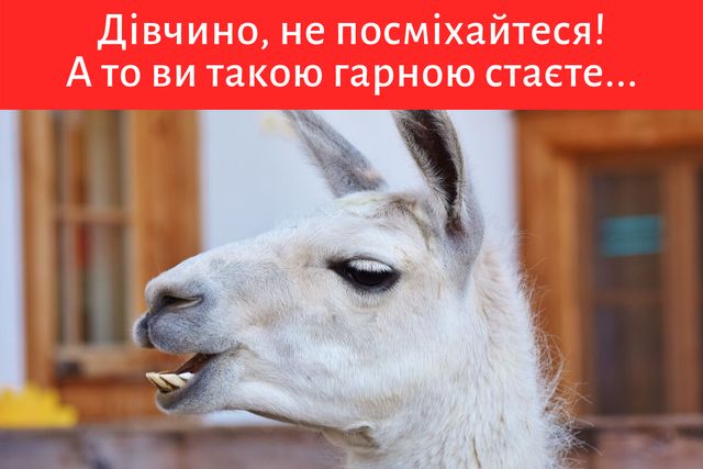 ТОП 15 прикольних компліментів, які сподобаються жінкам з почуттям гумору - фото 354340
