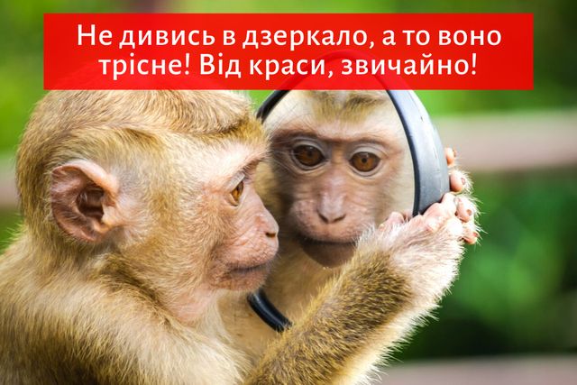 ТОП 15 прикольних компліментів, які сподобаються жінкам з почуттям гумору - фото 354341