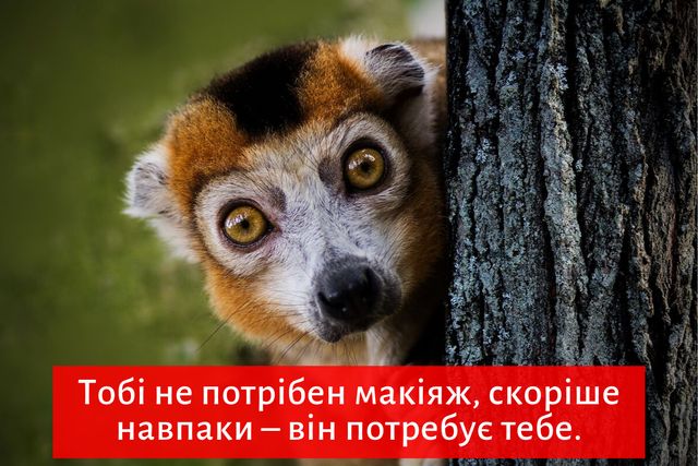 ТОП 15 прикольних компліментів, які сподобаються жінкам з почуттям гумору - фото 354342