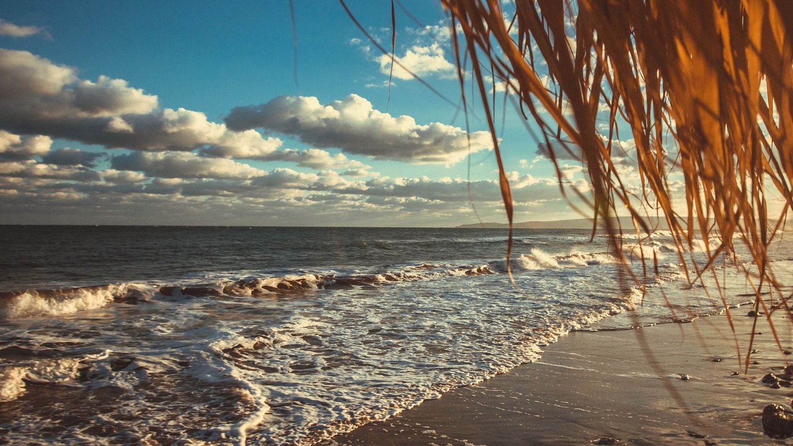 Море восени - фото 1