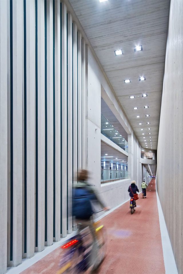 Як виглядає найбільший у світі велопарк: ефектні кадри з Нідерландів - фото 354883