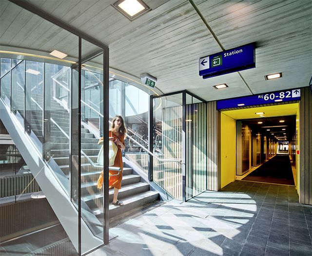 Як виглядає найбільший у світі велопарк: ефектні кадри з Нідерландів - фото 354885