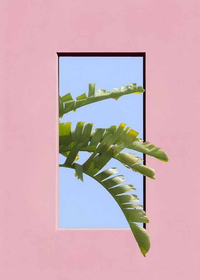 Цікаві мінімалістичні знімки від американського фотографа - фото 355955