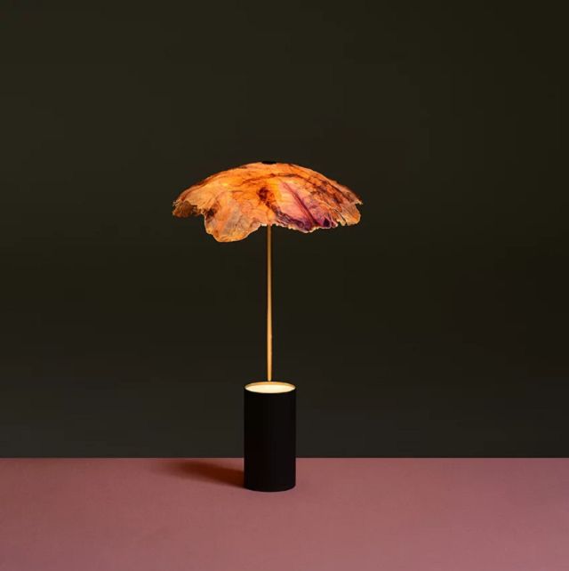 Дизайнери створили світильник з червоної капусти - фото 356272