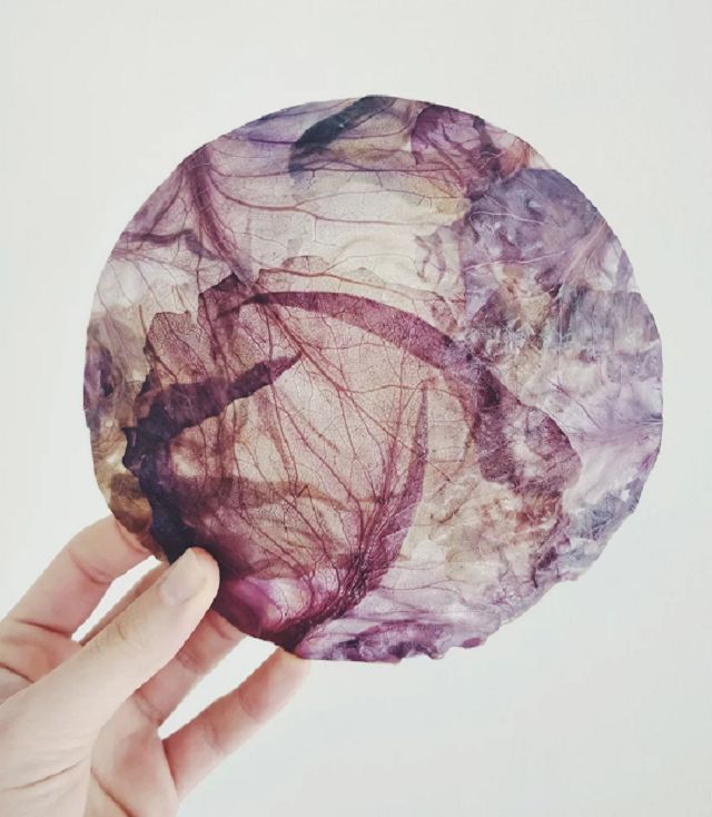 Дизайнери створили світильник з червоної капусти - фото 356273