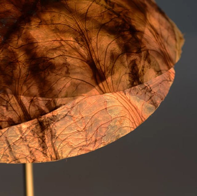 Дизайнери створили світильник з червоної капусти - фото 356274