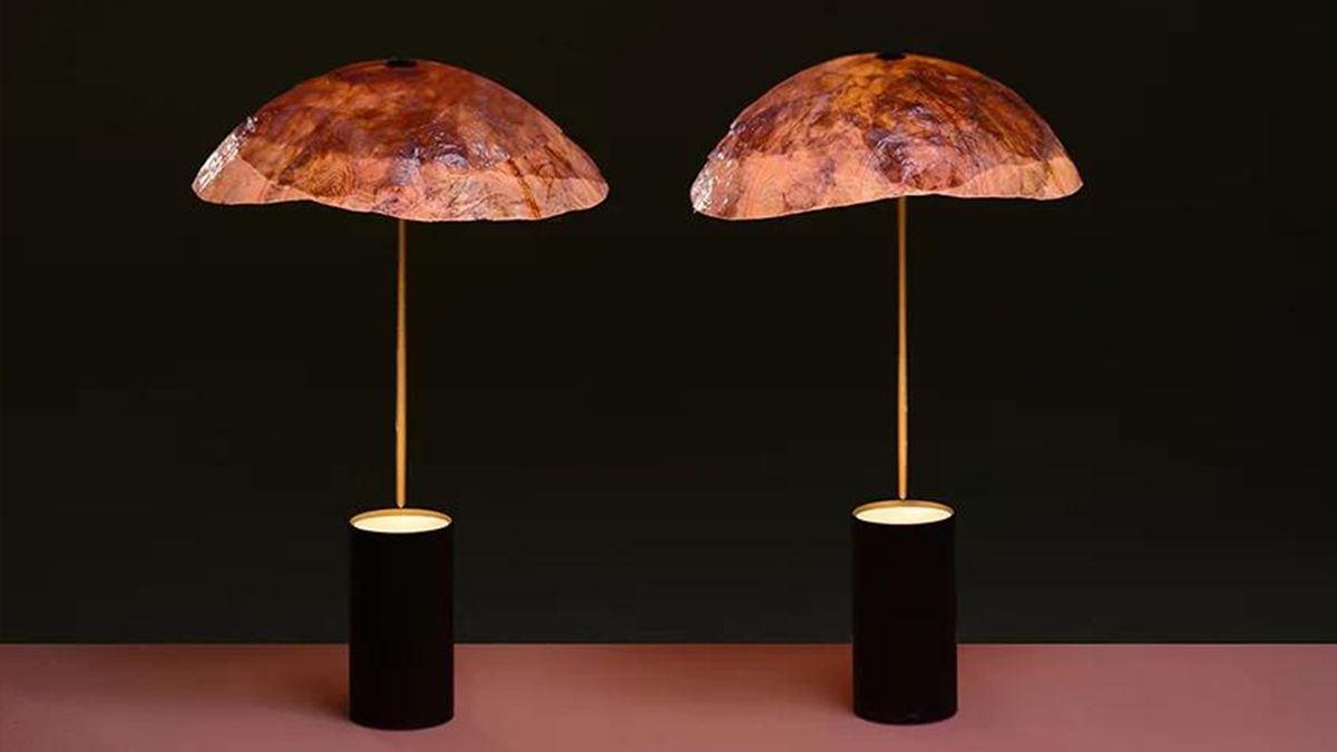 Дизайнери створили світильник з червоної капусти