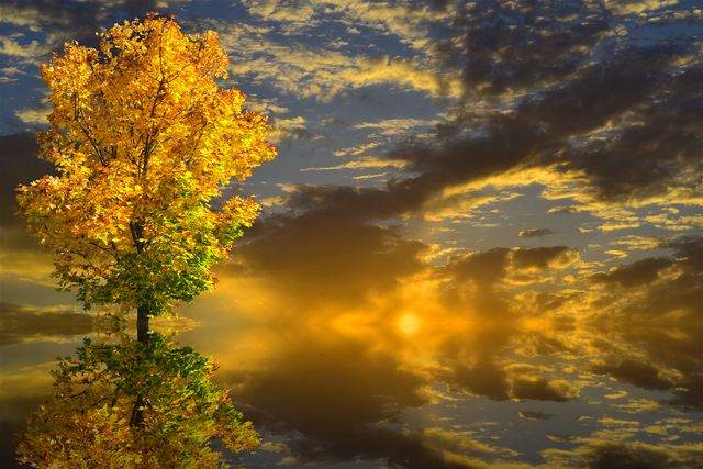 21 вересня 2019 – яке сьогодні свято: традиції, заборони і прикмети - фото 356316