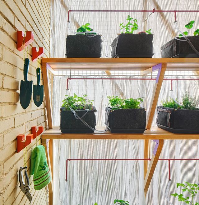 Ця незвичайна квартира у Мадриді має власний крихітний город: фото - фото 356431