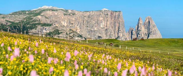 Незабутній відпочинок: чому варто поїхати у Доломітові Альпи - фото 356830