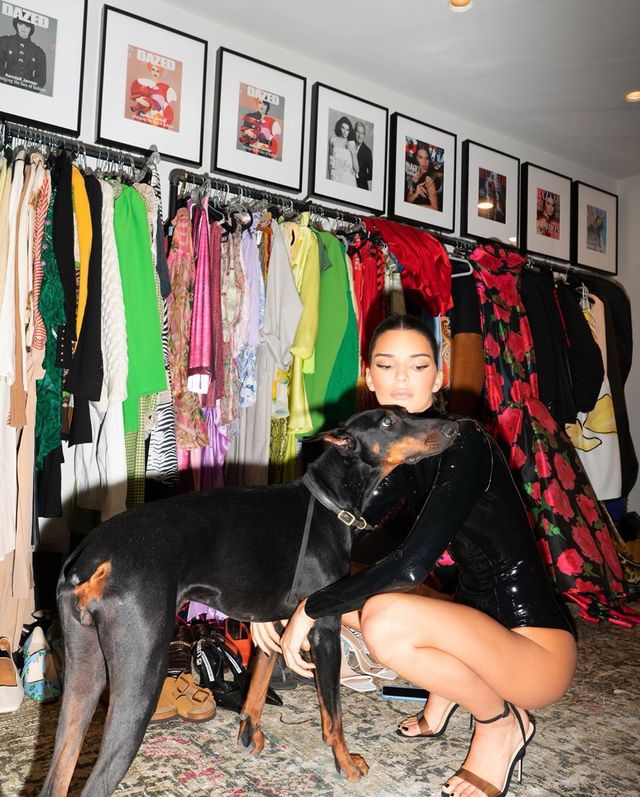 Відома модель у латексі здивувала прихильників (фото) - фото 356960