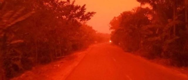 EKA WULANDARI - фото 356972