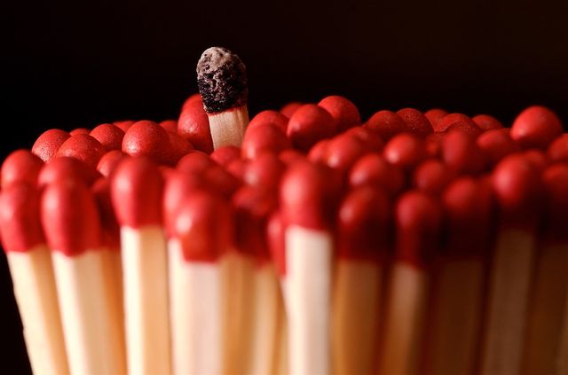 Навіть банани! 5 несподіваних речей, які скоро можуть зникнути з лиця Землі - фото 356984