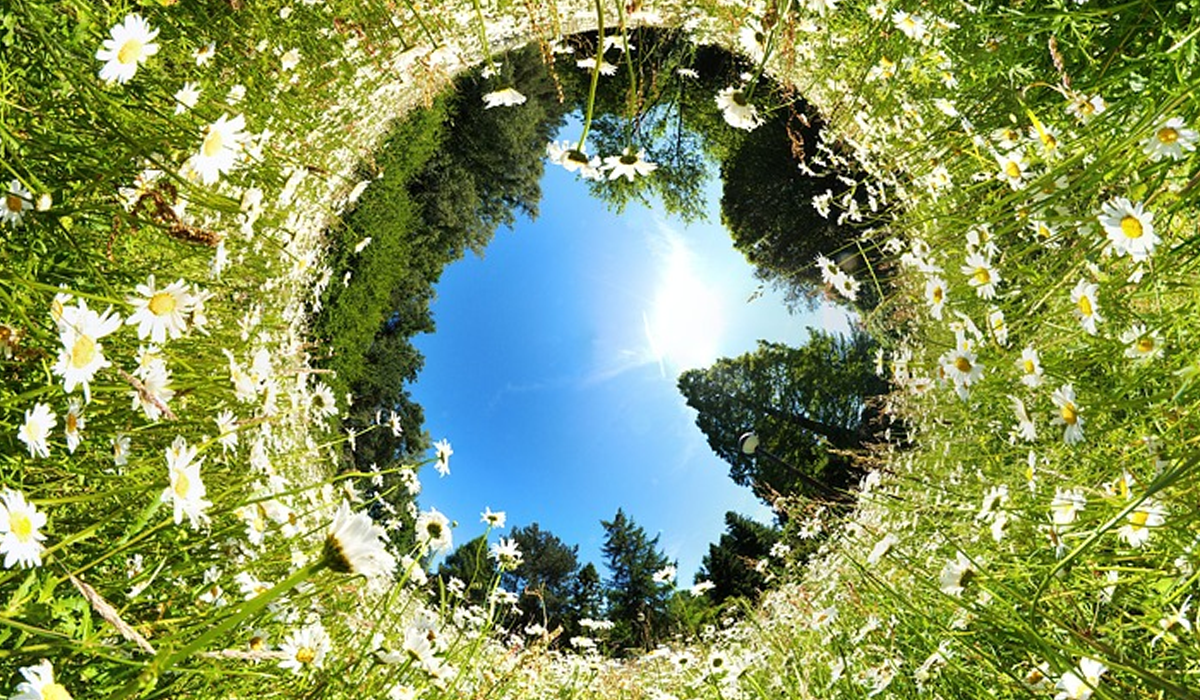 Навіть банани! 5 несподіваних речей, які скоро можуть зникнути з лиця Землі