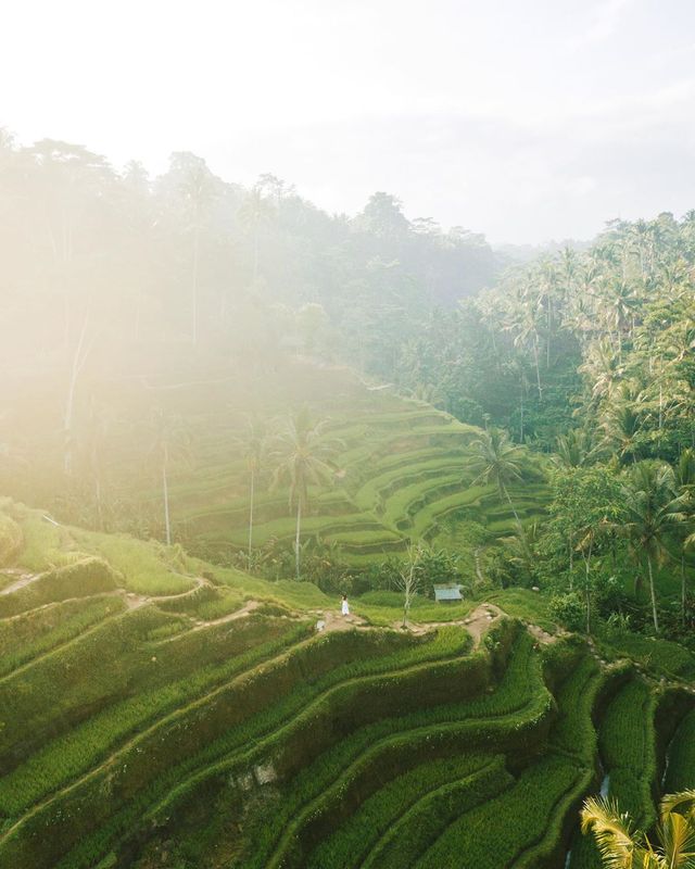 Американець побував у 45 країнах і надихає на мандри: яскраві фото - фото 357544