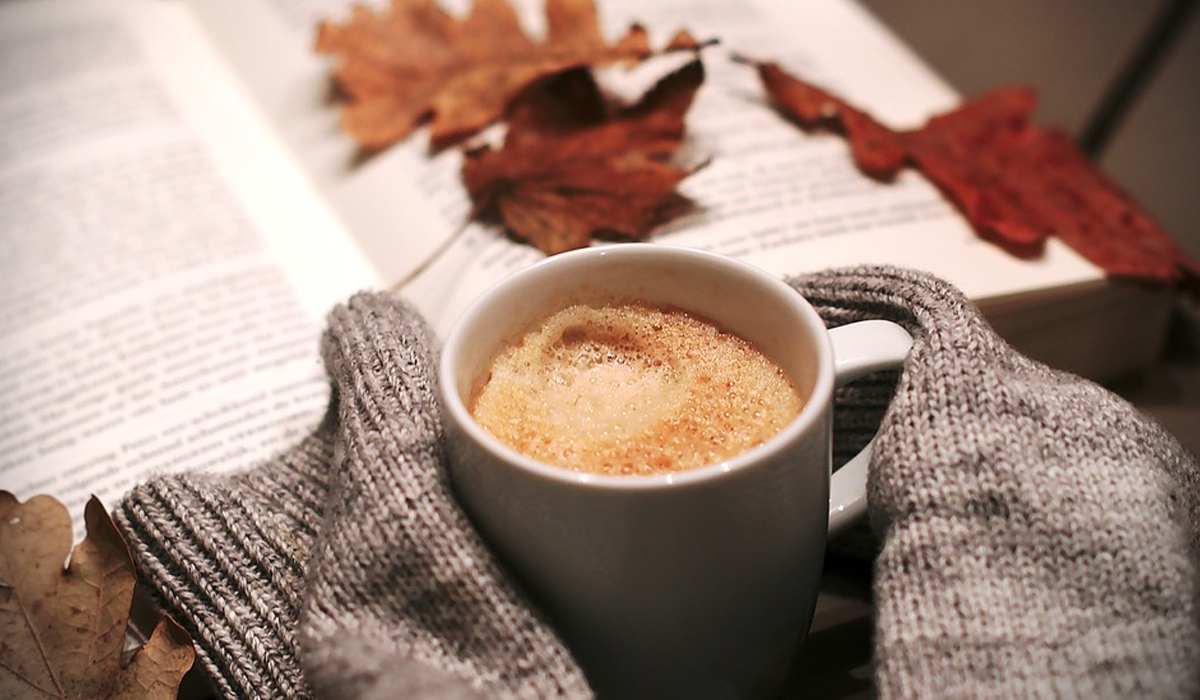 Таємниці у багажнику: 5 цікавих книг осені, які ви прочитаєте на одному подиху