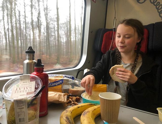 У мережі знайшли фото, на яких Грета Тунберг їсть з пластикового посуду, і тут понеслось - фото 357734