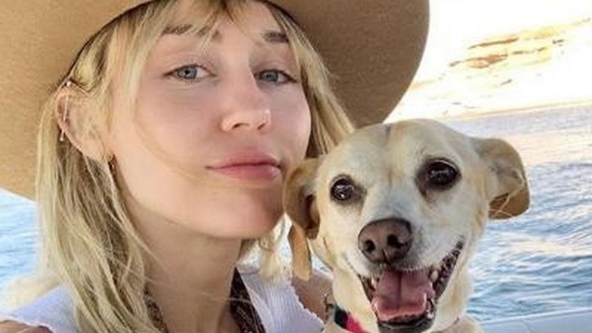 Дуже схудла після розлучення Майлі Сайрус шокувала фанатів