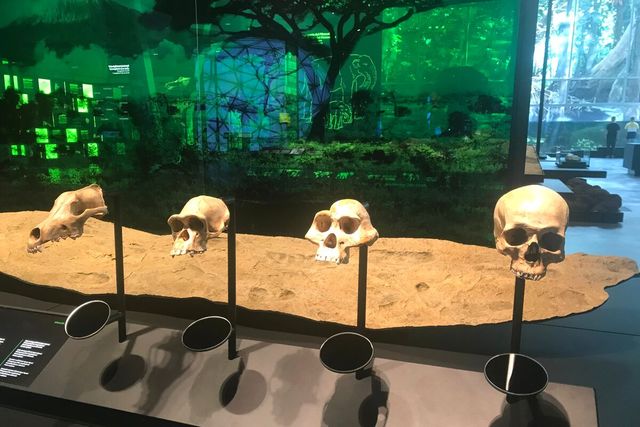 Спекотна Барселона: 7 найкращих локацій, про які не знають звичайні туристи - фото 357956