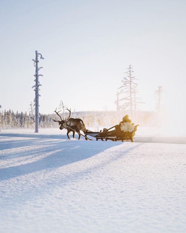 Талановитий німець показує, чому потрібно мандрувати: фото - фото 358641