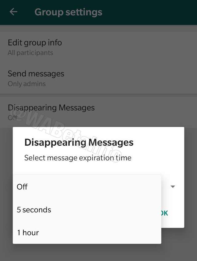 У WhatsApp з'явиться функція автоматичного видалення повідомлень - фото 358872
