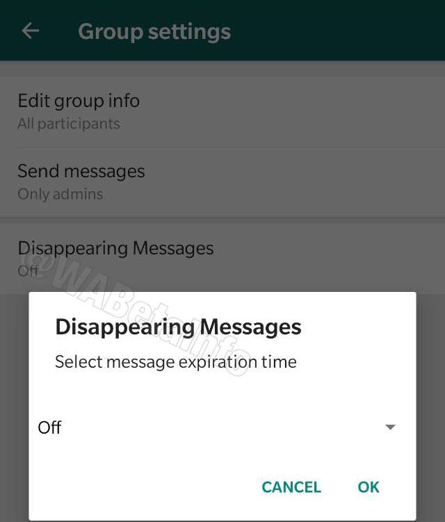 У WhatsApp з'явиться функція автоматичного видалення повідомлень - фото 358874