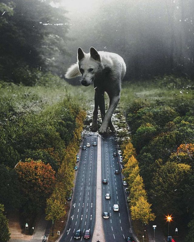 На межі реальності: фото, які змусять затримати погляд - фото 358909