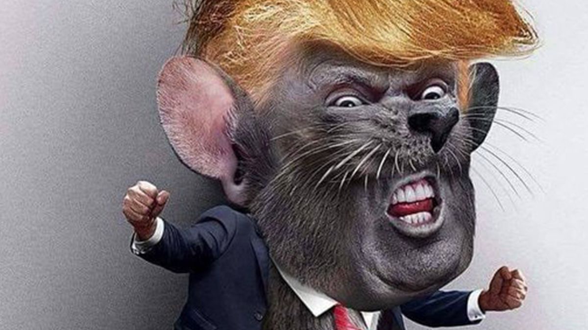 Журналісти влаштували полювання на гризуна в Білому домі: епічне відео