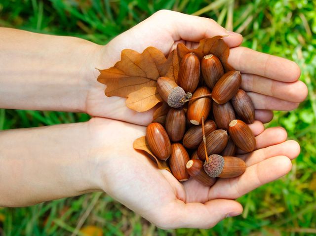 7 жовтня 2019 – яке сьогодні свято: традиції, заборони і прикмети - фото 359172